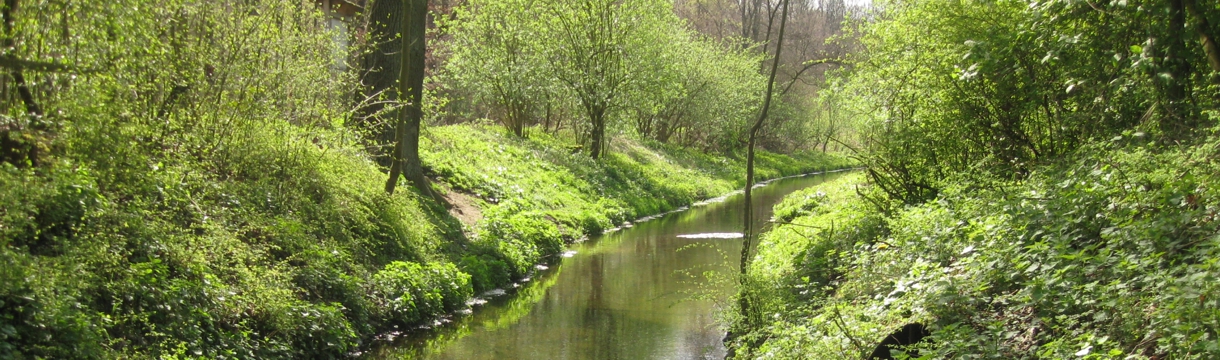 WRRL-Umsetzungsfahrpläne Stingesbach
